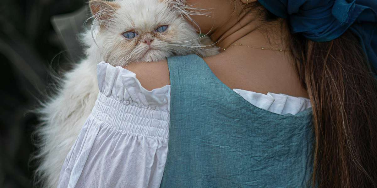 eznpc Where to Get the 120 lb Backpack in Fallout 76