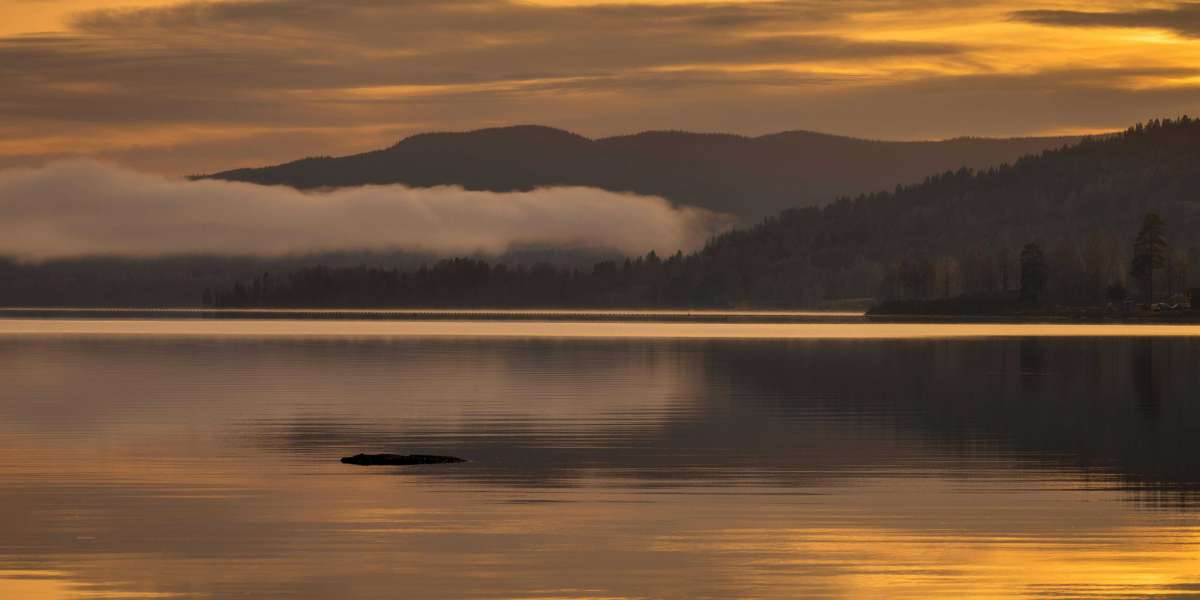 eznpc Fallout 76 Update Today Tips for Fast New Item Unlocks